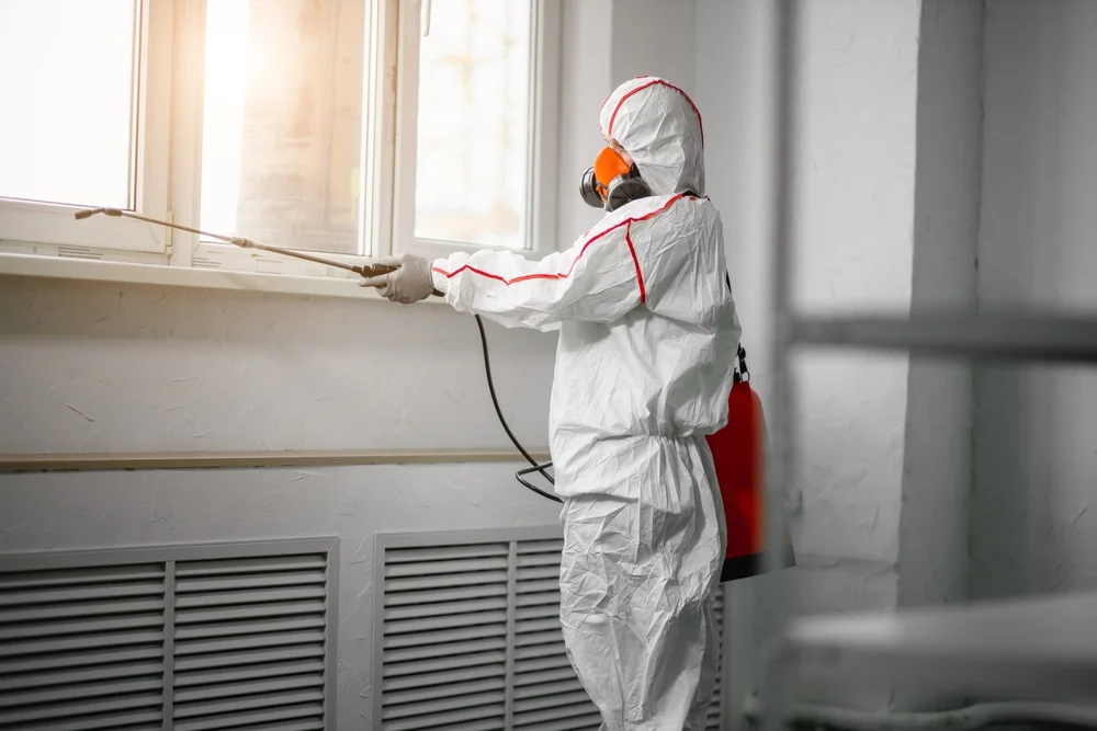 Professional mold remediation services in East Hampton, NY